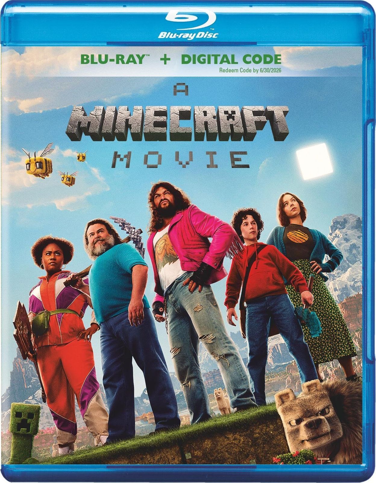 A Minecraft Movie